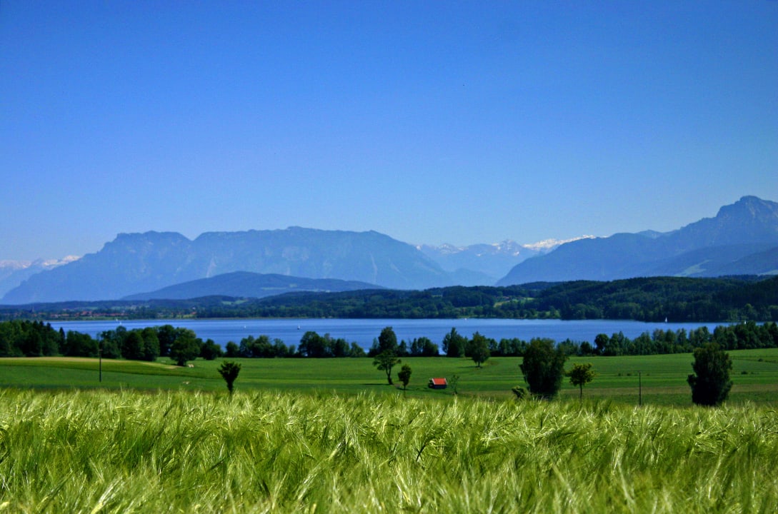 Sonstiges Ferienwohnung Alpenblick