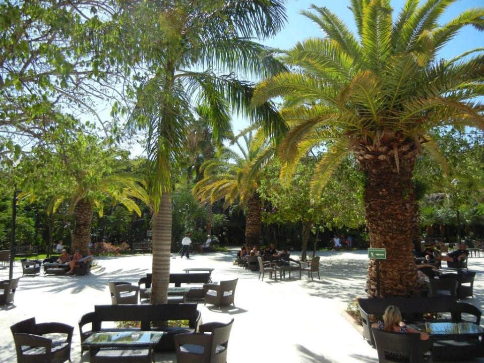 Blick von der Lobby auf den Innenhof Viva Maya by Wyndham - All Inclusive Resort