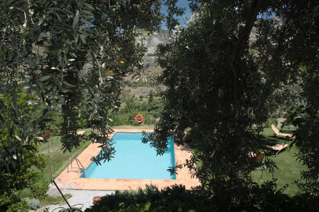 Blick durch Bäume im Garten zum Pool Hotel La Almunia del Valle