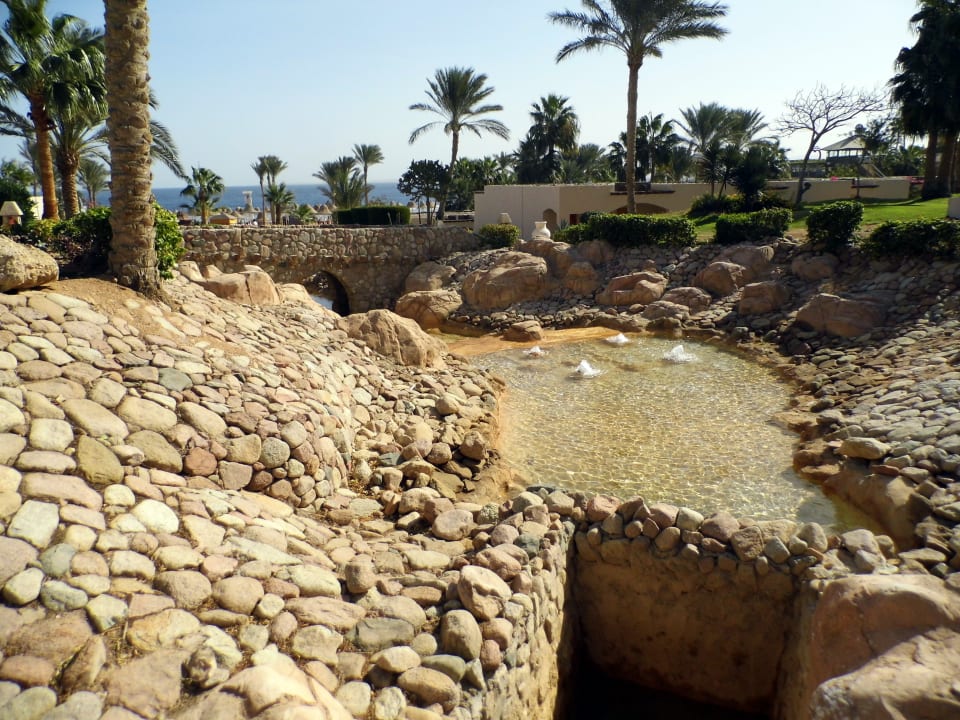 Gartenanlage Parrotel Beach Resort