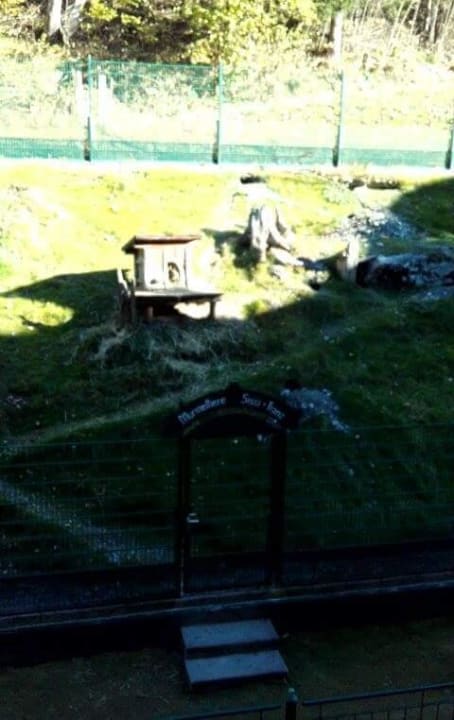 Vom Balkon Kinderhotel Waldhof