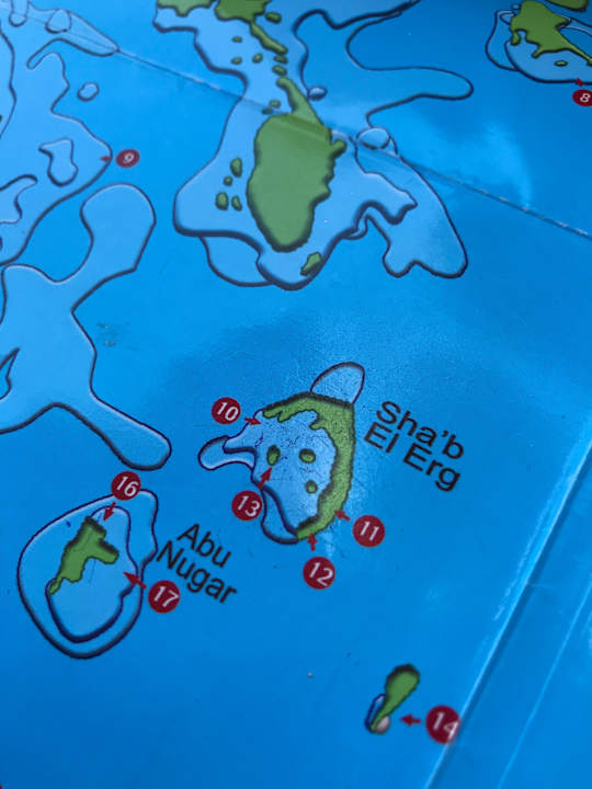 Sonstiges Pickalbatros Alf Leila Wa Leila Resort - Neverland Hurghada