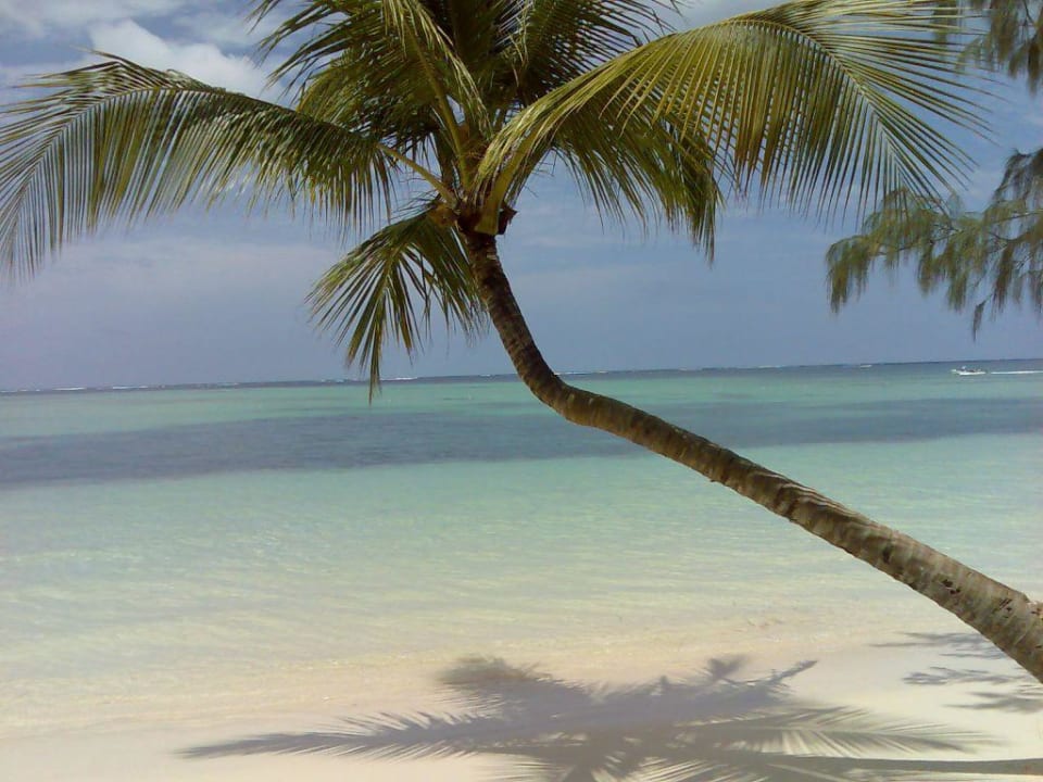 Strand nähe des Hotels Villas Bavaro Resort & Spa