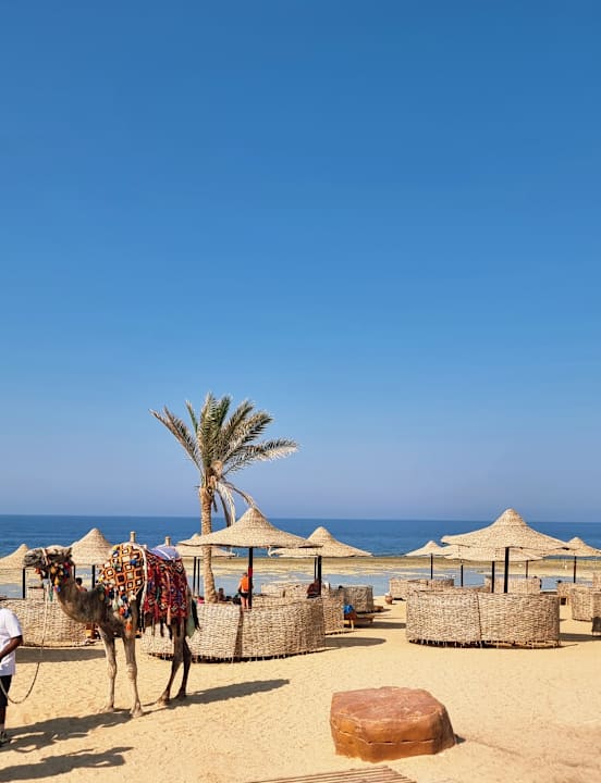 Ausblick Three Corners Sea Beach Resort