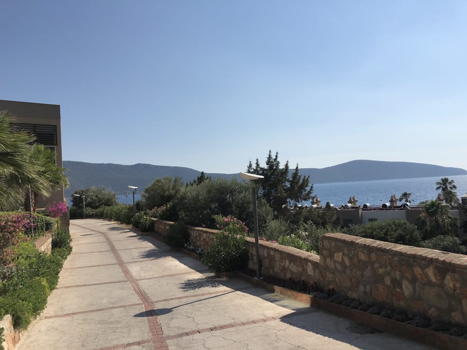 Ausblick TUI MAGIC LIFE Bodrum - Adult Only (16+)