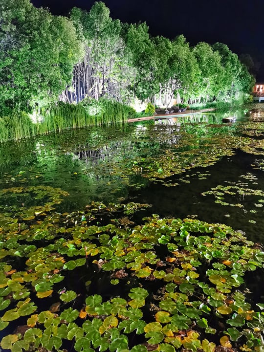 Gartenanlage Dreamland The Unique Sea & Lake Resort / Spa