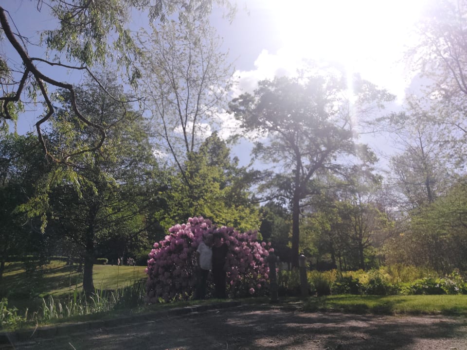 Gartenanlage Santé Royale Warmbad Wolkenstein