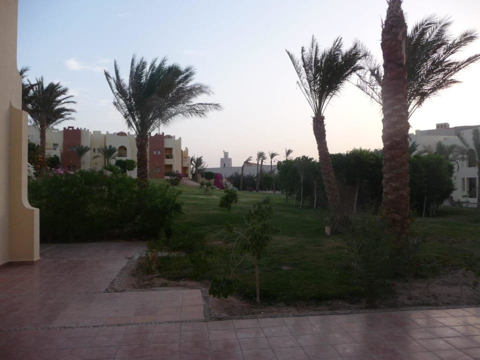 Palmen SUNRISE Royal Makadi Resort