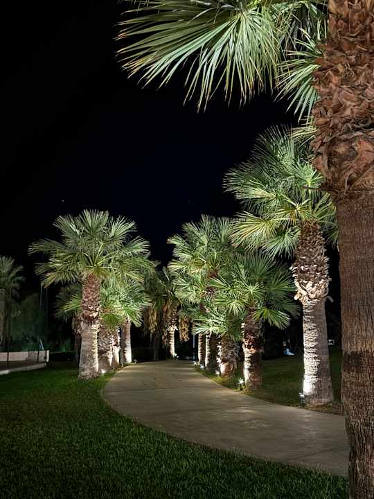 Gartenanlage Rodos Princess Beach Hotel & Spa