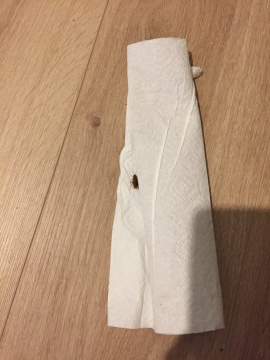 Zimmer Pension Ocakbasi im Schützenhaus