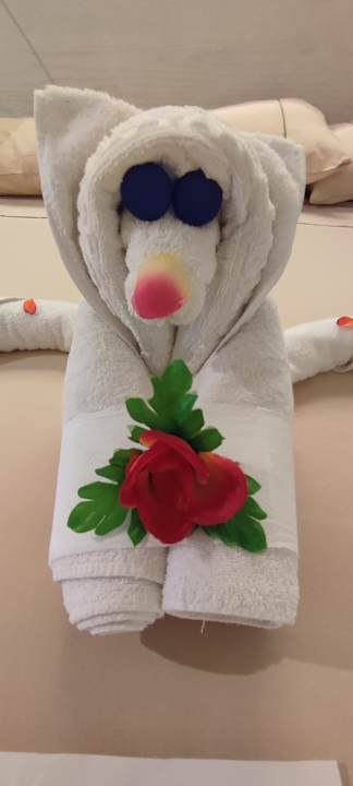 Zimmer Makadi Spa - Adults only