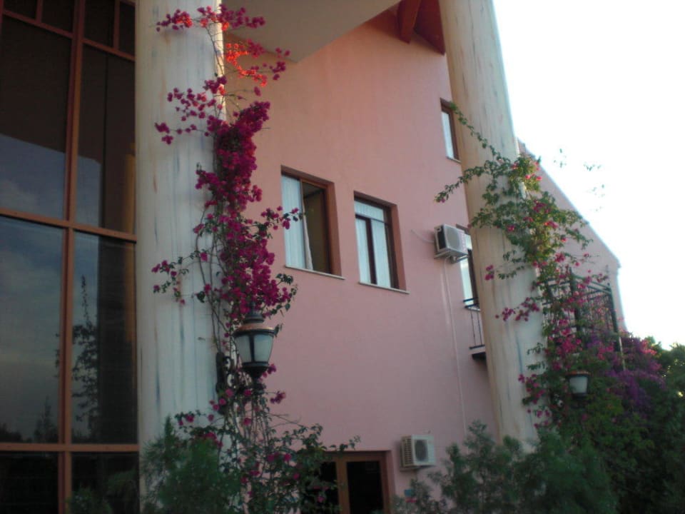 Eingangsbereich 2 Selge Beach Resort