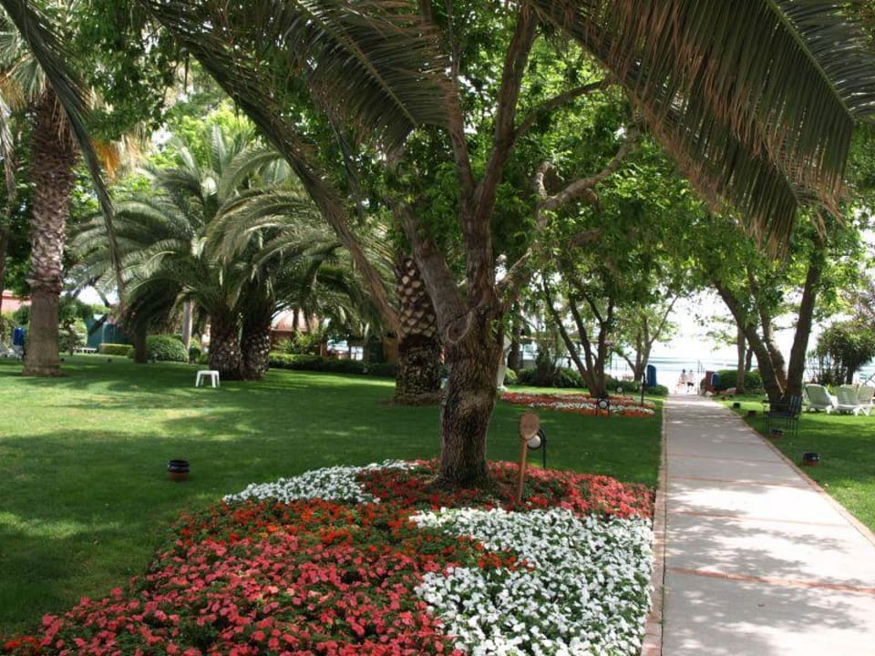 Gartenanlage Side Star Elegance