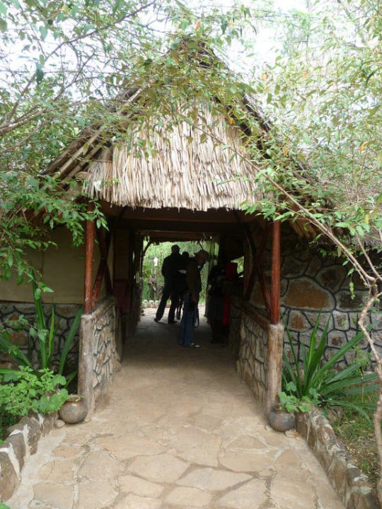 Empfang Aruba-Mara Camp