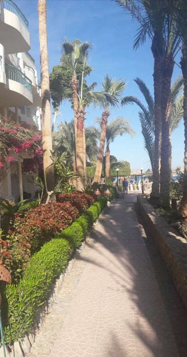 Gartenanlage Bella Vista Resort Hurghada