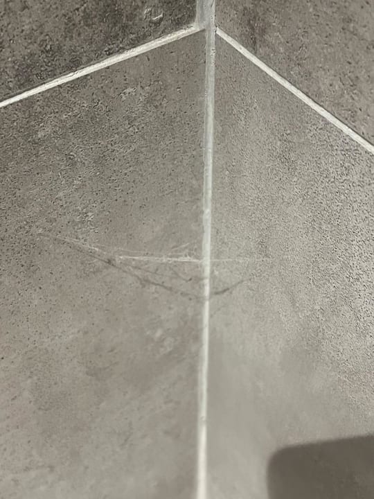 Zimmer Paloma Finesse