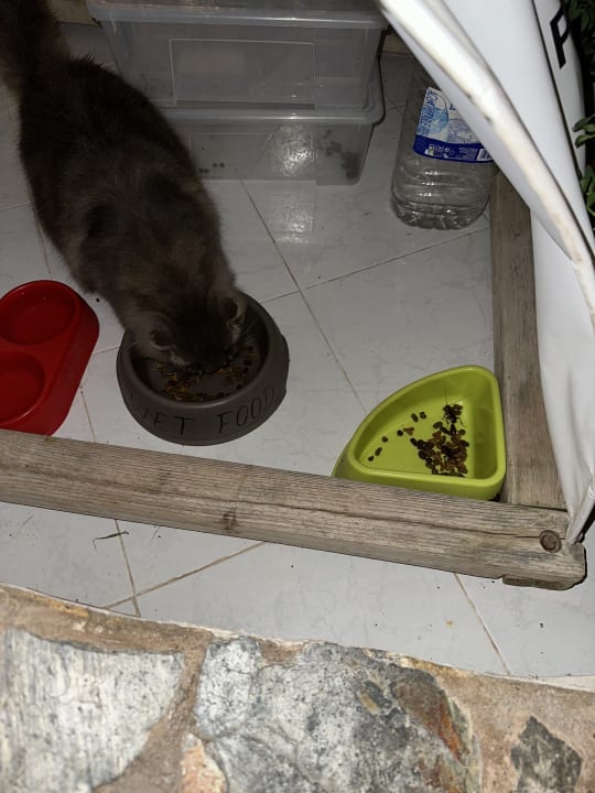 Sonstiges Club Hotel Drago Park