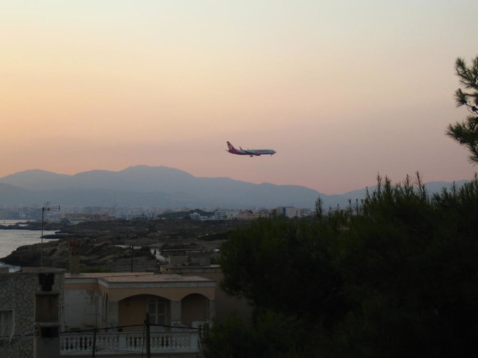 Blick nach Palma (Flugzeug) AluaSoul Palma