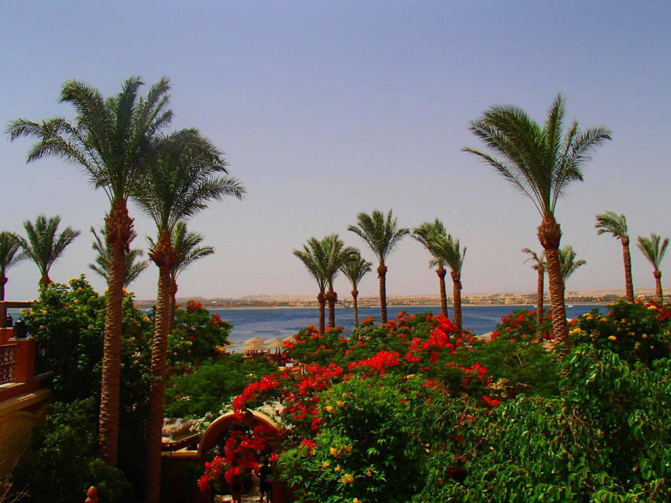 Вид на море Grand Waterworld Makadi & Family Star Makadi