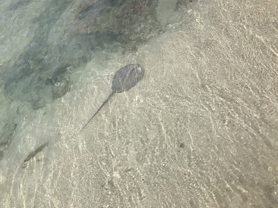 Strand Akumal Bay Beach & Wellness Resort