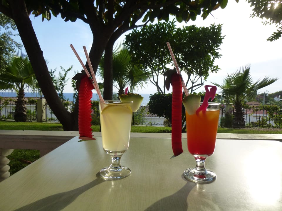 Lecker Alba Queen Hotel