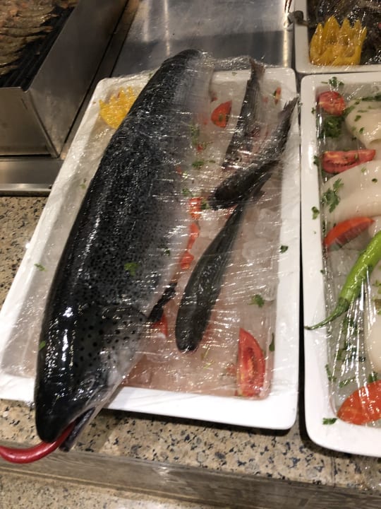 Gastro JAZ Elite Casa del Mar Beach