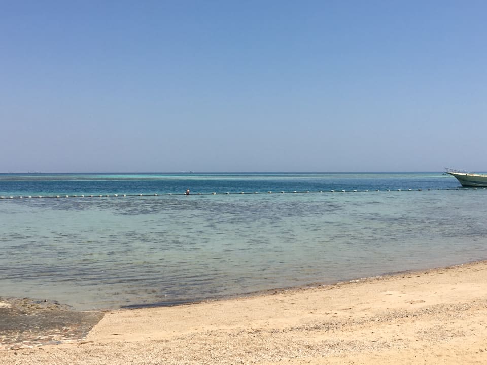 Strand Sea Star Beau Rivage