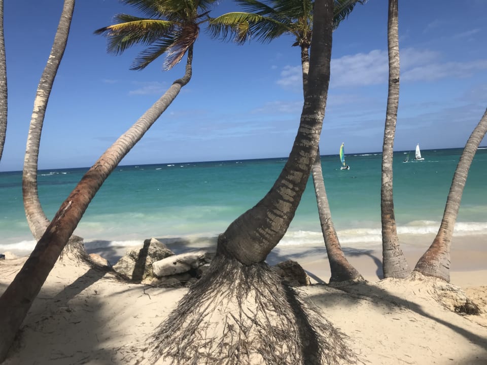 Strand Punta Cana Princess All Suites Resort & Spa