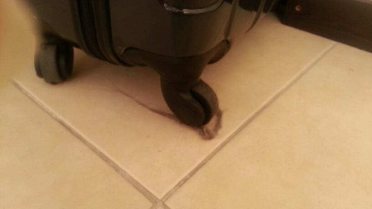 Direkt nach dem Service nach der Reklamation Hotel Orfeus Park