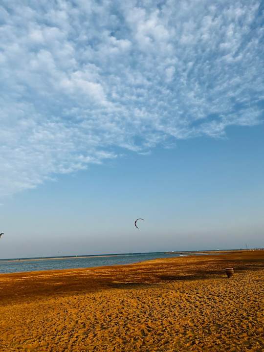 Ausblick Casa Cook El Gouna - Adults Only