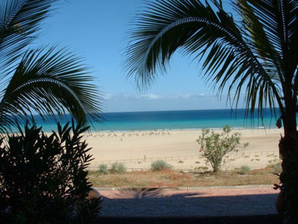Blick zum Strand Iberostar Selection Fuerteventura Palace
