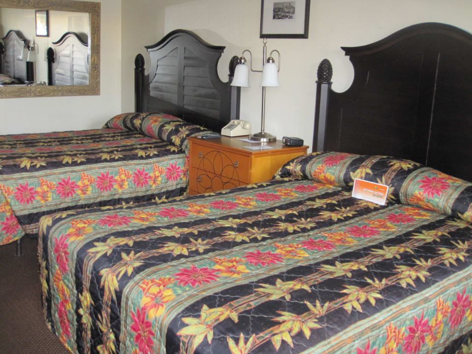 Mehrbettzimmer Hotel Howard Johnson Express Kissimmee