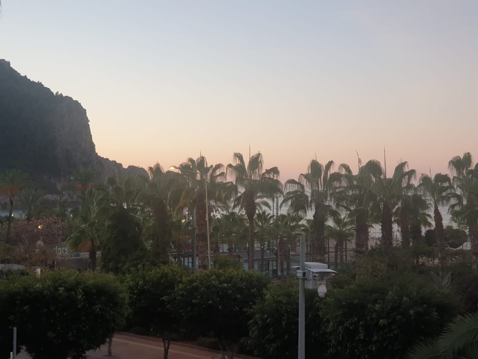 Ausblick Gardenia Hotel