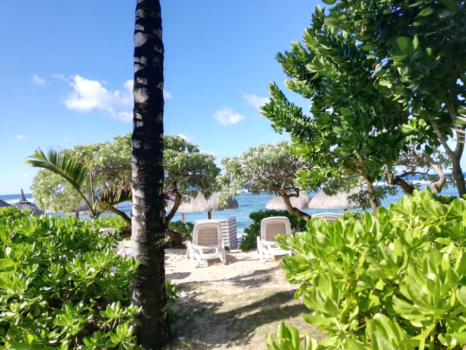 Strand Radisson Blu Poste Lafayette Resort & Spa - Adults only