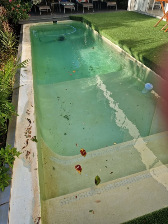 Pool Finchley Guest House