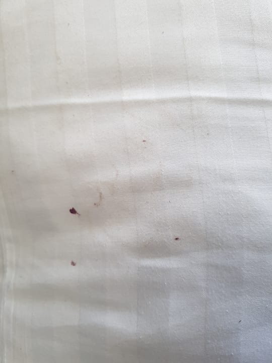 Zimmer Valamar Girandella Designed for Adults