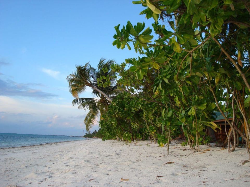 Strand Lagunenseite Canareef Resort Maldives