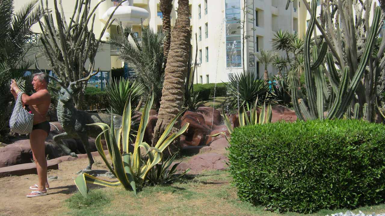 На территории отеля Moreno Horizon Spa & Resort