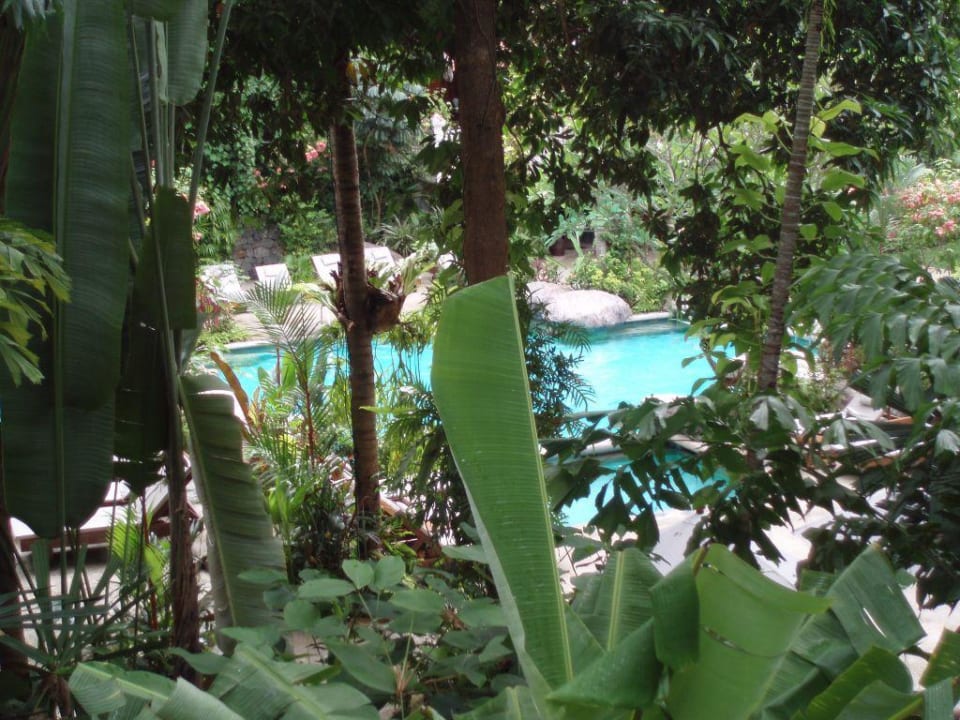 Blick auf den Pool Marina Phuket Resort