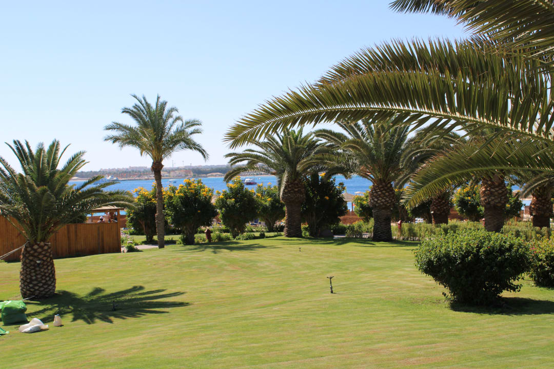 Gartenanlage Fort Arabesque Resort, Spa & Villas