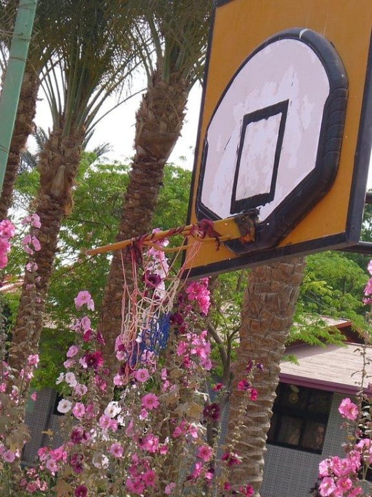 Basketball Beach Albatros Resort