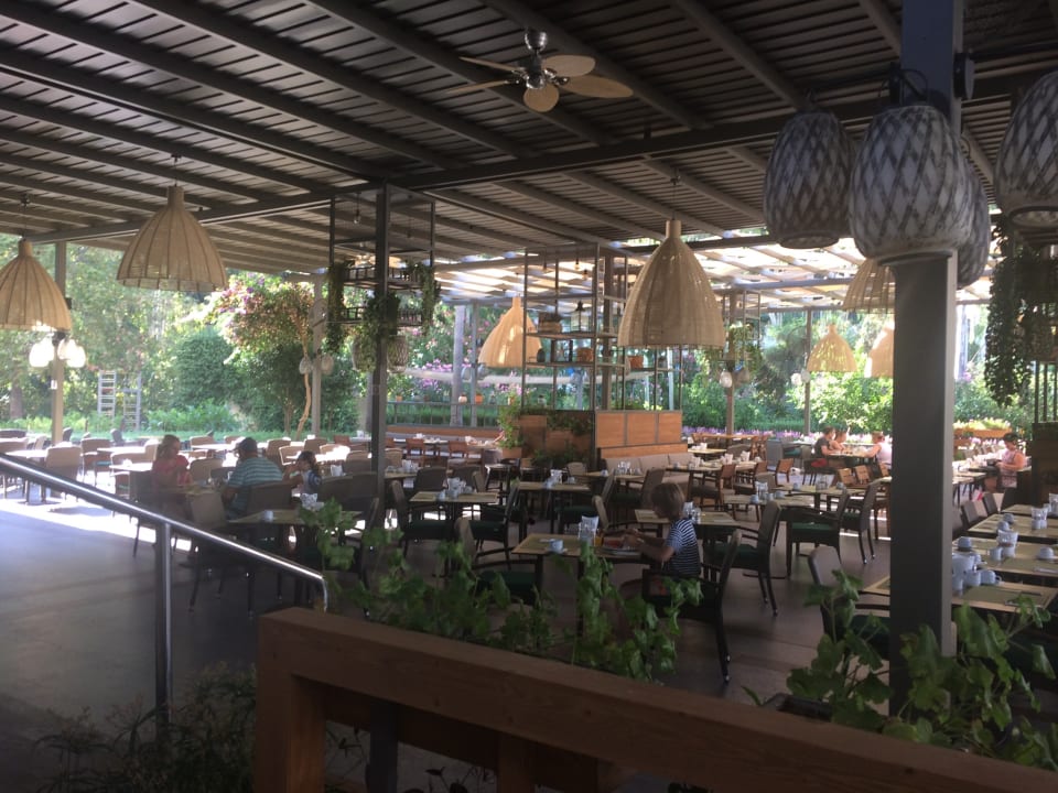 Gastro Arum Barut Collection