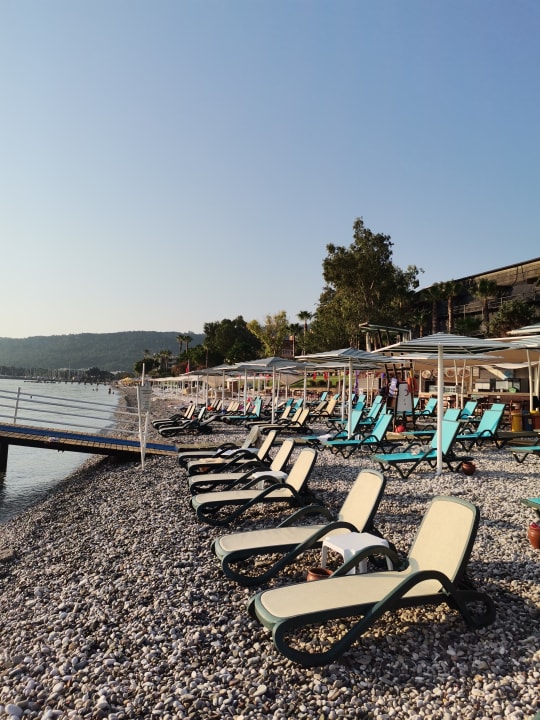 Strand Crystal De Luxe Comfort Collection