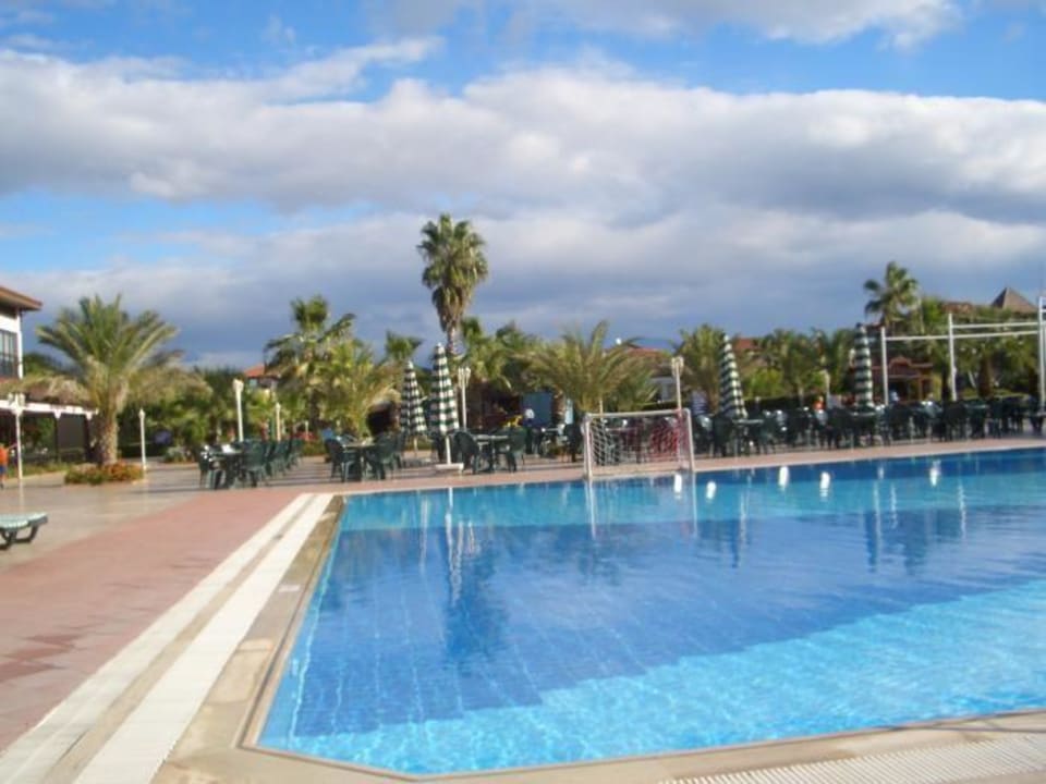Der Hotelpool Hotel Club Nena