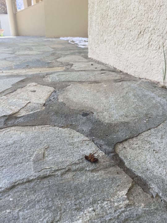 Sonstiges Lindos Royal Resort