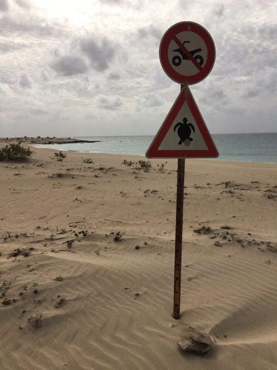 Strand Hotel Riu Touareg