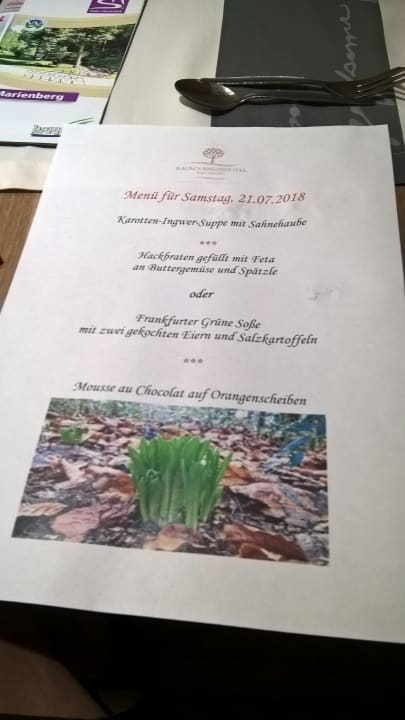 Gastro Baum's Rheinhotel