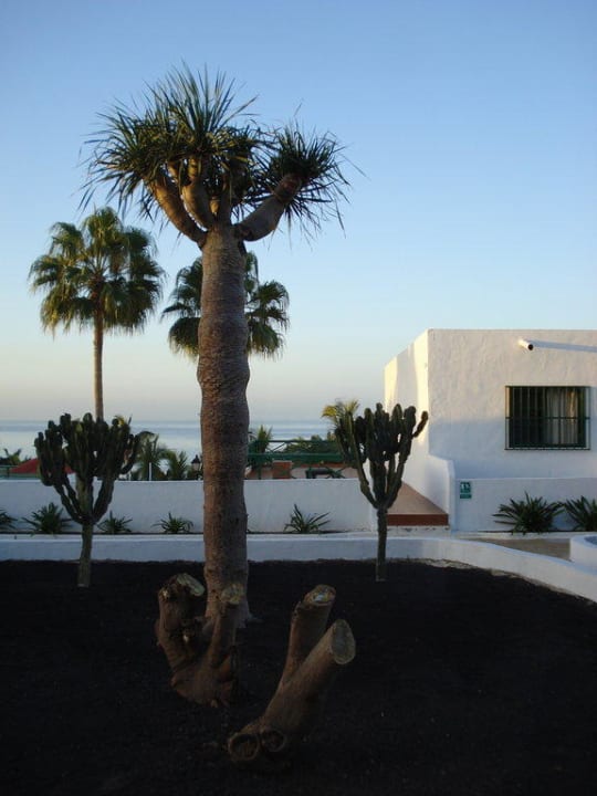 Kurz nach Sonnenaufgang Hotel Rocas Blancas