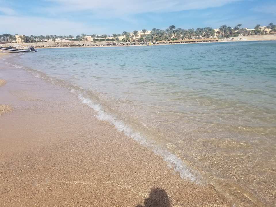 Strand JAZ Neo Reef Marsa