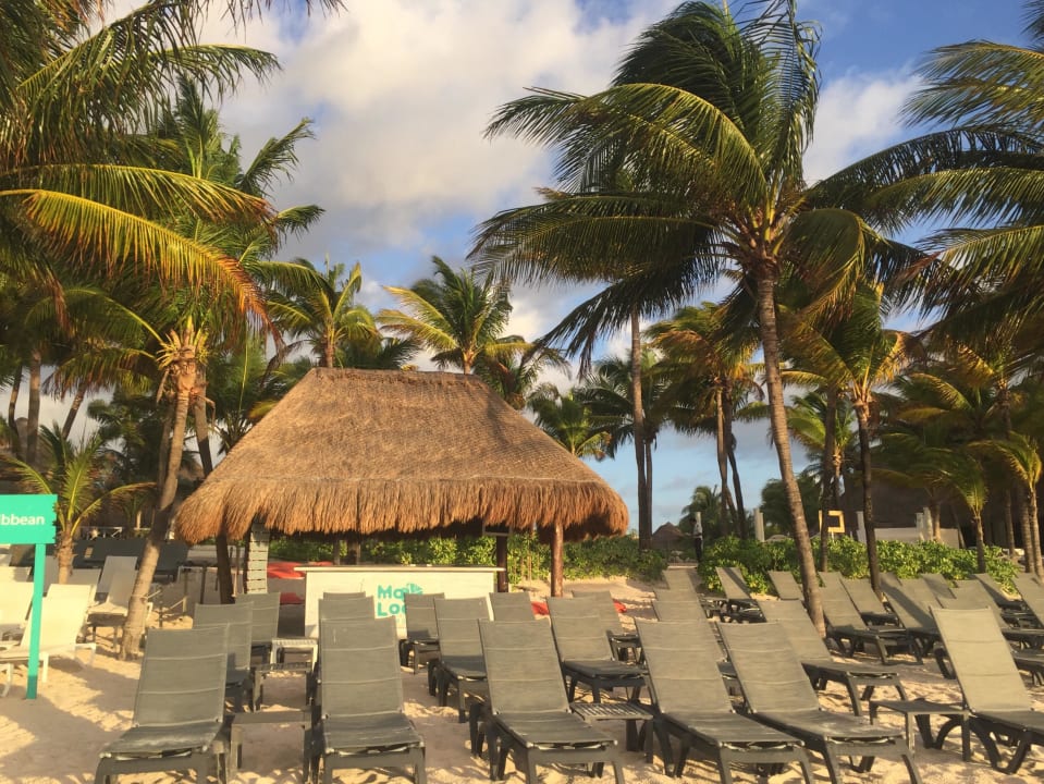 Saftbar Catalonia Royal Tulum Beach & Spa Resort - Adults only